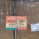 광주근교 담양 가마골계곡 내돈내산 솔직후기
