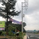 도담갈비올린막국수 - 5374 | 도담갈비올린막국수