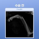 프라임 동물병원 앞 이미지