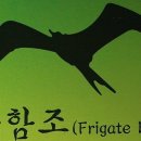 군함조 CI -(Corporate Identity) 이미지