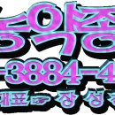 대동농약종묘사 이미지