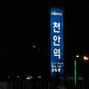 분홍고양이 이미지
