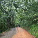 맥키스컴퍼니 | 비 오는 날의 계족산 황토길, 우중 맨발걷기 후기 및 꿀팁 👣🌧