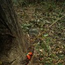 대부고등학교 이미지