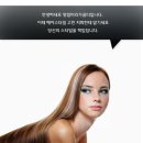 머리가꿈터