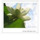 유정아구찜 Daum카페