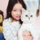 구사도 이미지