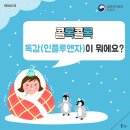 [감염병] 콜록콜록, 독감(인플루엔자)이 뭐예요? 이미지