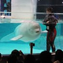 롯데월드아쿠아리움 이미지