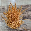 신우곰탕 | [원주 곰탕맛집]"신우곰탕"-동충하초로 우려낸 관설동 찐 보양식