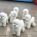 골드짐 이미지