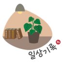 궁동다맛집 이미지