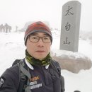 유일사 이미지
