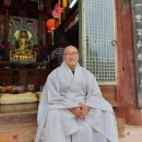 면천스테이 | [당진 영랑사]충남 당진 가볼만한 곳 / 당진 대표사찰 영랑사 방문기