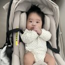 내돈내산 카시트 세탁업체 ‘아가꺼’ 선택 이유와 후기