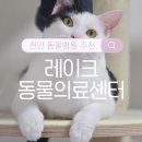 레이크동물의료센터 이미지