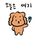 헤이올리브 이미지