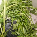 솔그린농장 이미지