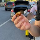 신 황룡 | [중국] 쓰촨성 여행 구채구~청두 8, 9일 차|구채구, 황룡구채구역, 청두공항 공항버스&amp;숙소