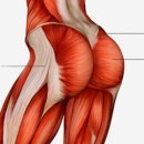 헤이데이짐 이미지