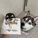 더맛있개