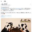 왕클럽 이미지