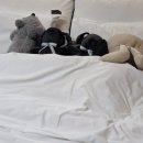 달콤왕가탕후루송도학원가점 이미지