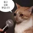 한보라1로3 이미지