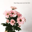 여주-0704 이미지