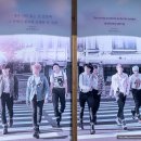 제주 조천카페 BTS 화양연화 촬영지 아미들의 성지 방탄카페 영포에버 가는 방법