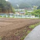 봉화목장 이미지