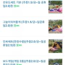피크닉109 이미지
