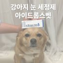 강아지인공눈물 아이드롭스벳 사용 후기 눈에넣기편함