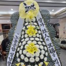 금성장례식장 이미지