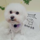 쁜이네곳간 이미지