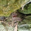 삼싹농장 이미지