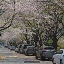 동삼3동-3 이미지