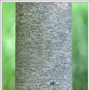 귀산 농장 이미지