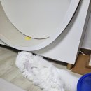 리더스병원 화장실 이미지