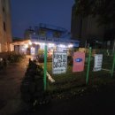 제주도 카페블루하우스 밀크티 후기