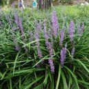 관서당 남성재 이미지