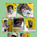 수림 어린이집 이미지