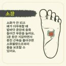 발건강관리족심도 이미지