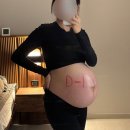 엄마의 고기 만찬 이미지