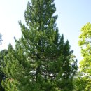 칠백의총 이미지