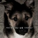 추억만들기 이미지