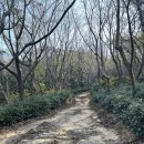 경남 창원 웅산 등산코스 시루봉 출렁다리 부산근교 겨울 등산