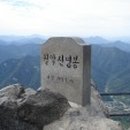 월악산주유소 이미지