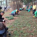 상남면행정복지센터 이미지