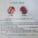 춘천시청 티스토리